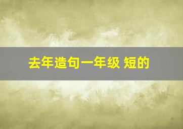 去年造句一年级 短的